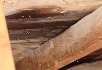 Cantrell Roofing LLC Images