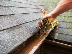 Inspecting Roof for Hail Damage While Cleaning Gutters