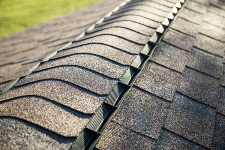 spring-cleaning-your-guide-to-pristine-roofing-in-canton