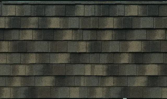 Cantrell Roofing LLC Images