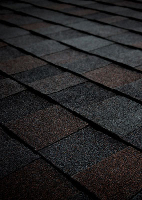 Cantrell Roofing LLC Images