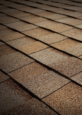 Cantrell Roofing LLC Images