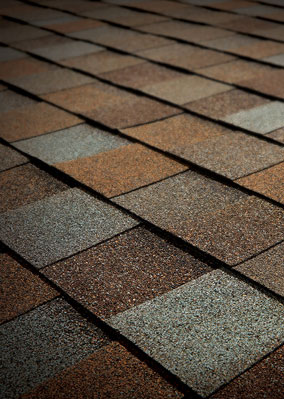 Cantrell Roofing LLC Images
