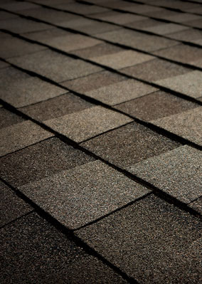 Cantrell Roofing LLC Images