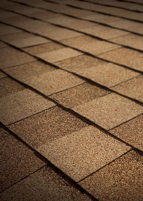 Cantrell Roofing LLC Images